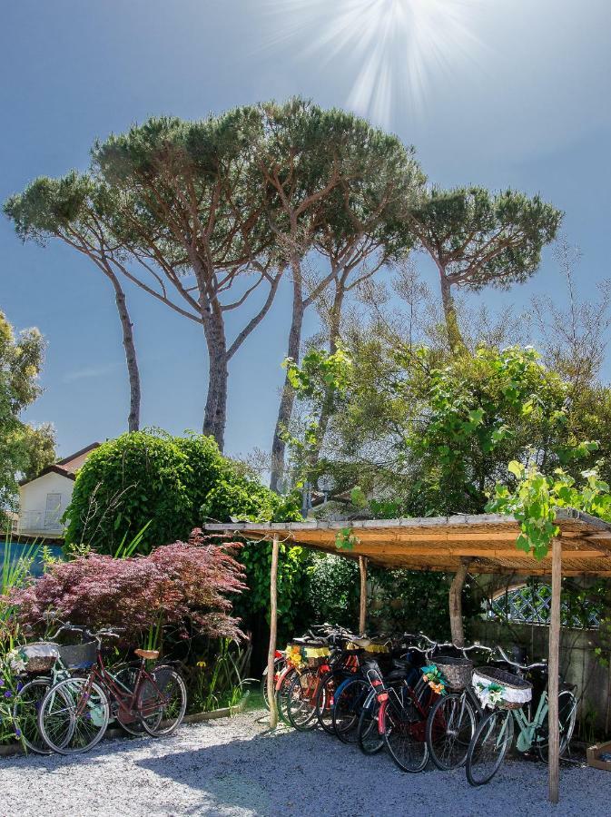 B&B Due Passi Dal Mare Cinquale Εξωτερικό φωτογραφία